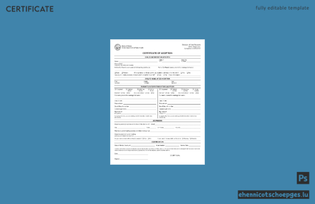 Beispiel einer Adoptionsurkunde des Gesundheitsministeriums von Illinois (USA)